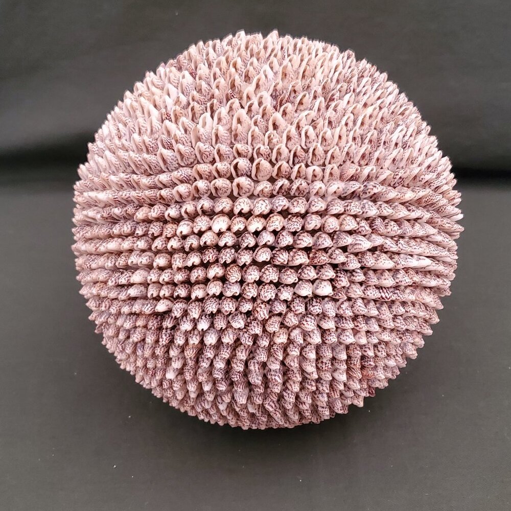 Seashell Home Decor Big Ball Sphere Sea Shell Sandy Beach Handmade